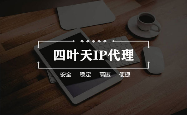 【黄山代理IP】如何快速搭建代理IP？怎么检查代理的效果？